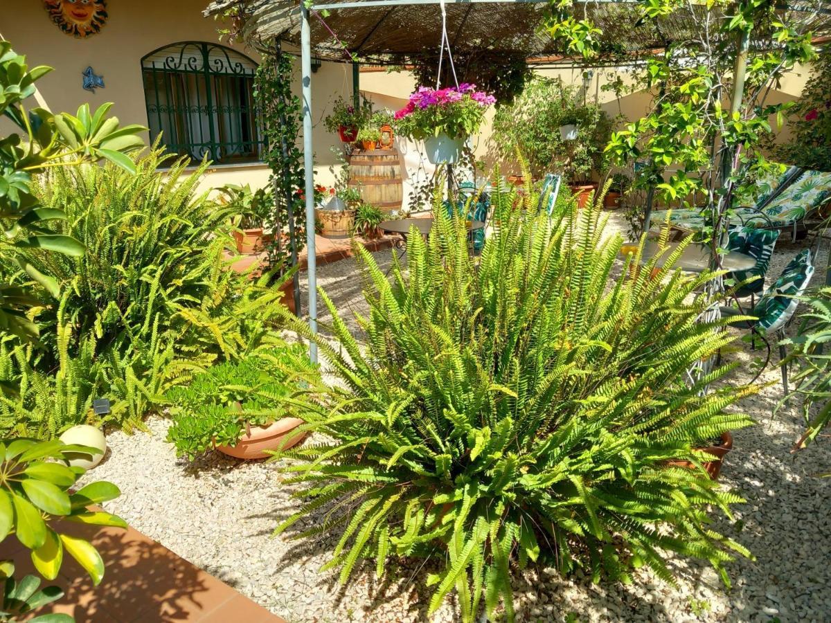 Bed And Breakfast Rosangela Таормина Екстериор снимка