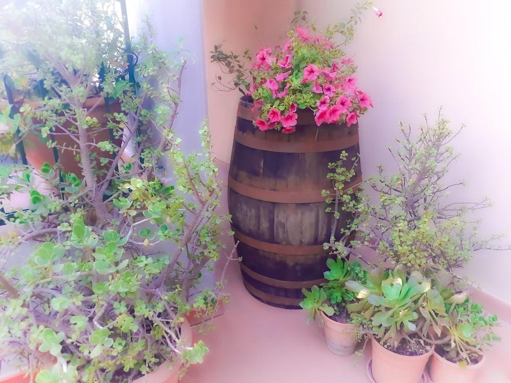 Bed And Breakfast Rosangela Таормина Екстериор снимка